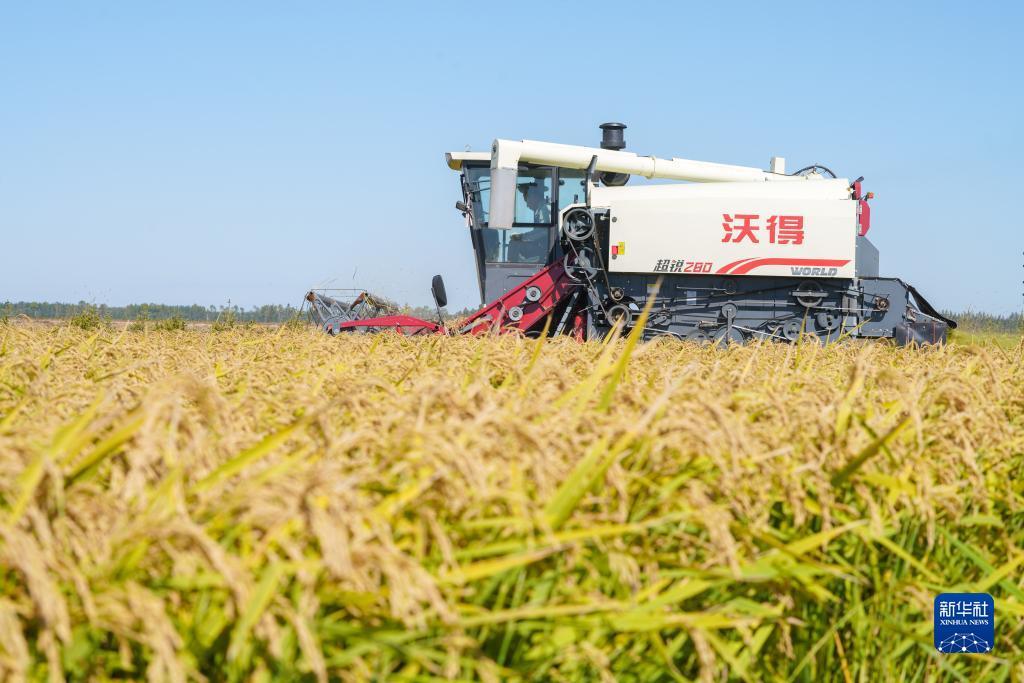 白菜娱乐送彩金大全